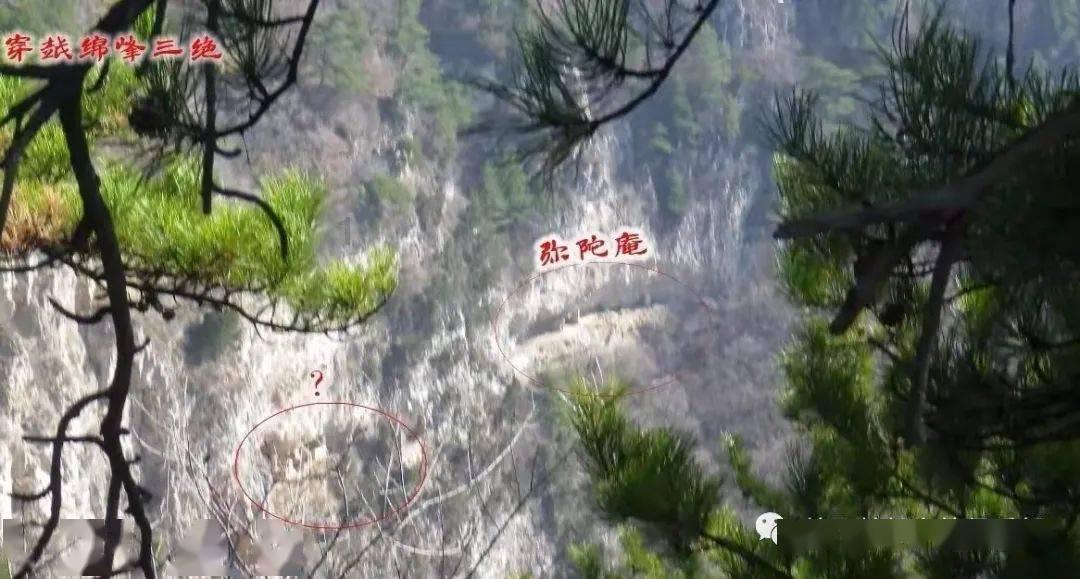 蔚来ET5t气动避震 低趴姿态