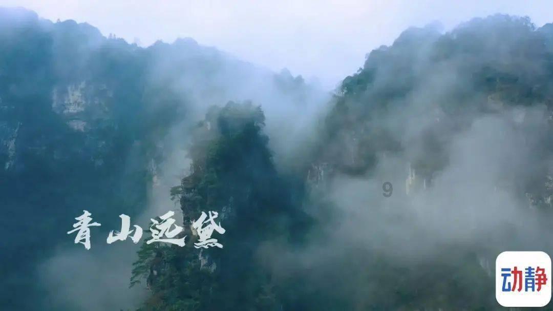 春雨直播app