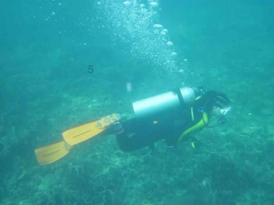 寻找战宝船